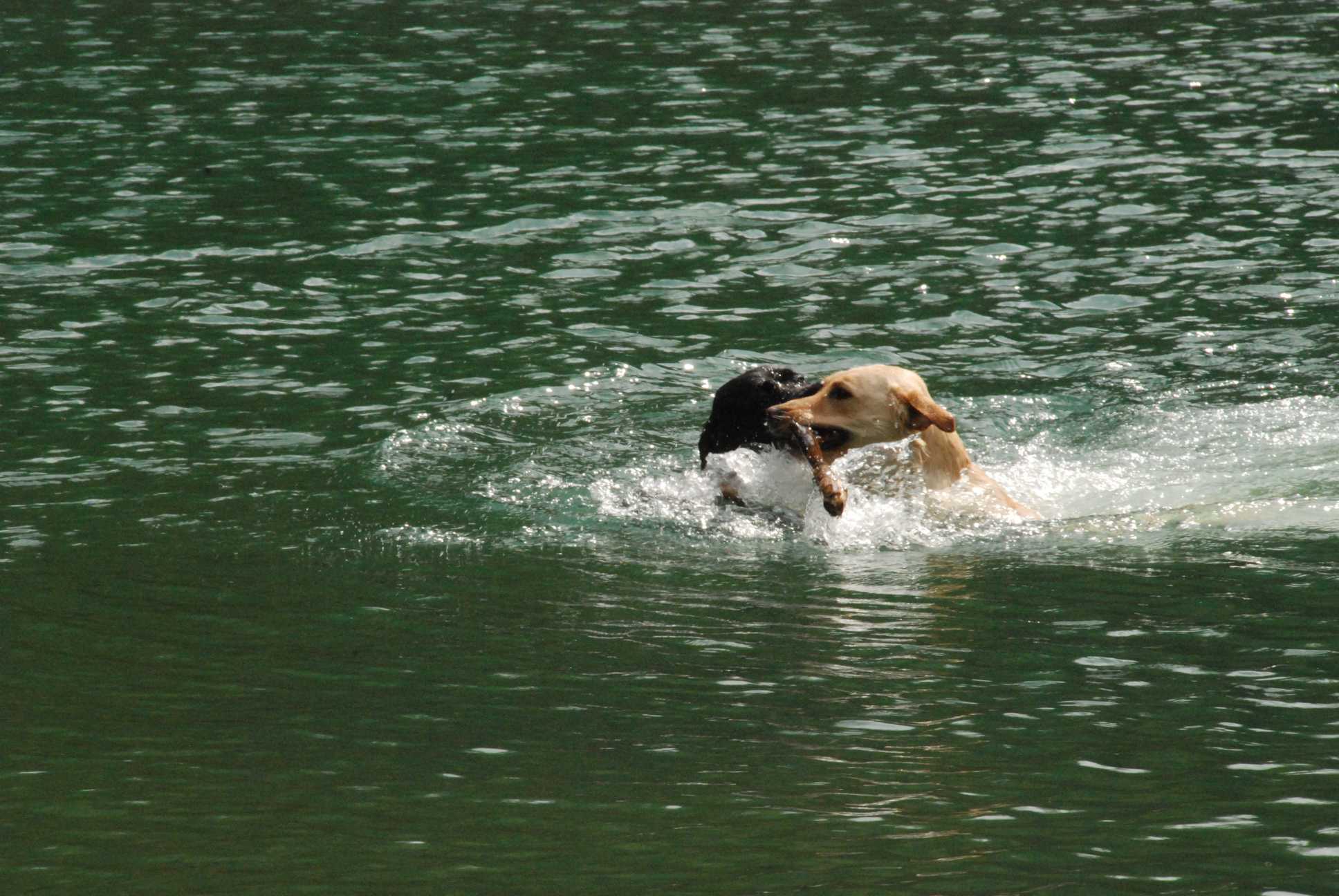 2010-05-22_ntb_8731