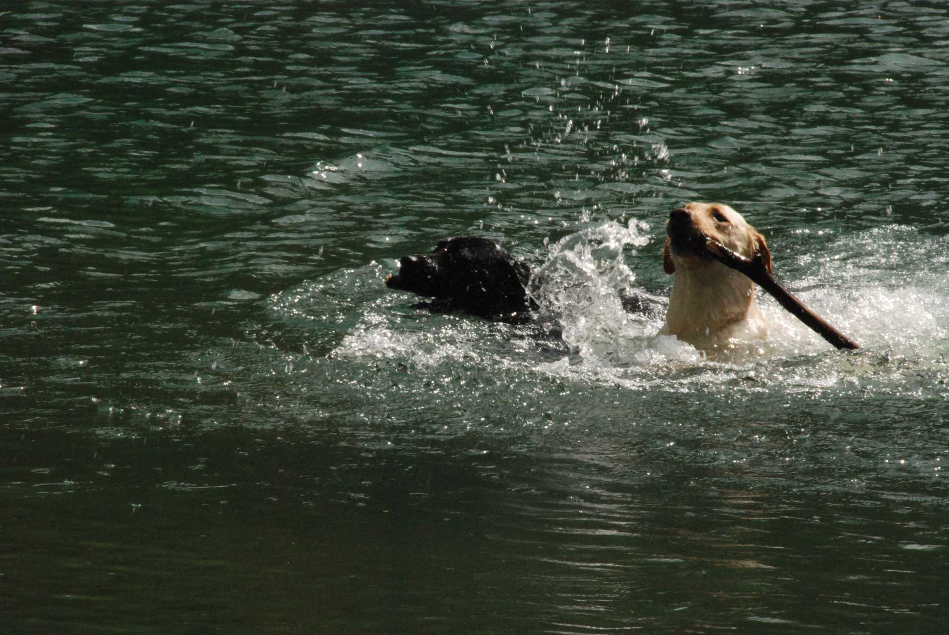 2010-05-22_ntb_8736