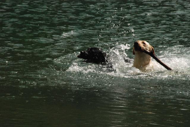 2010-05-22_ntb_8736