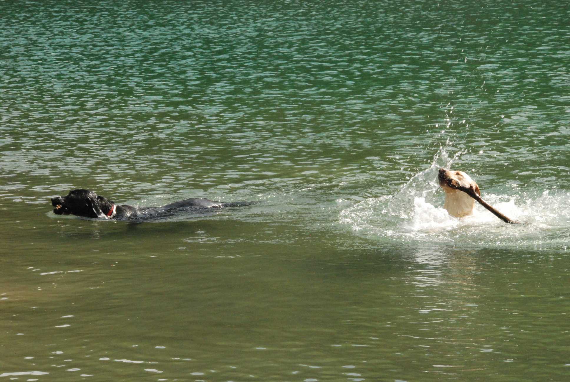 2010-05-22_ntb_8743