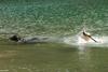 2010-05-22_ntb_8743