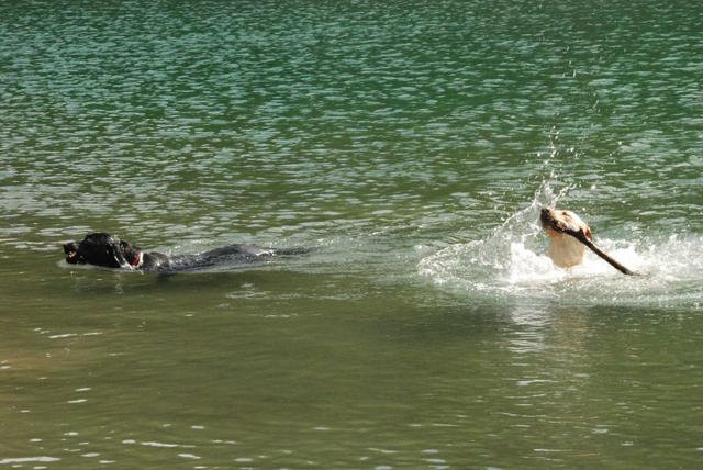 2010-05-22_ntb_8743
