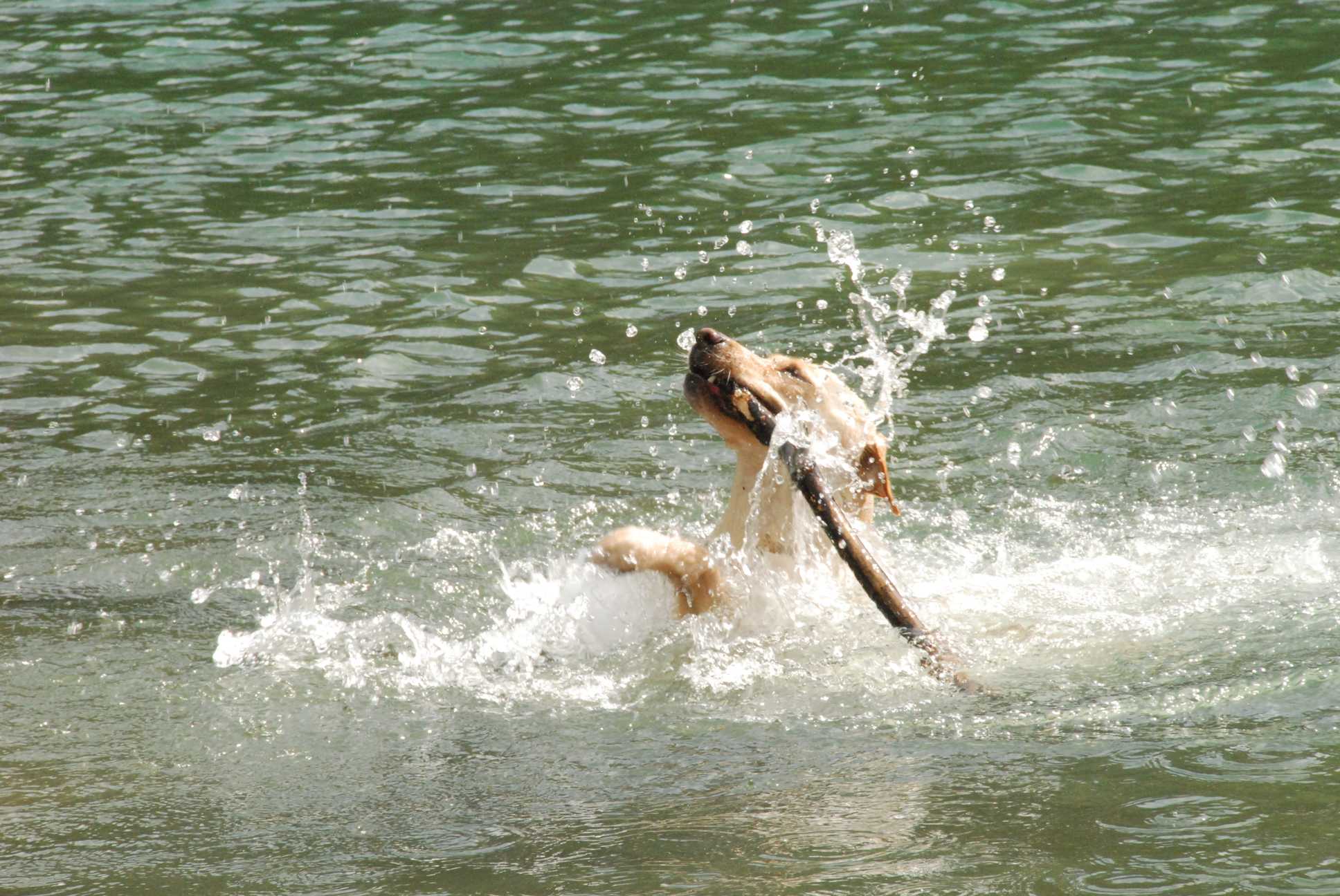2010-05-22_ntb_8747