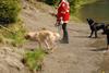 2010-05-22_ntb_8759