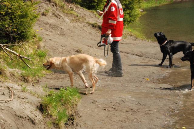 2010-05-22_ntb_8759