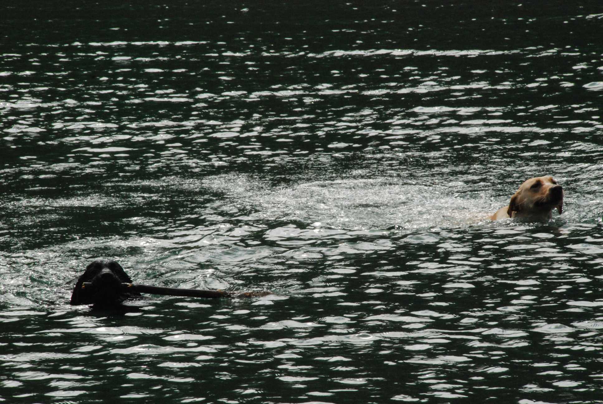 2010-05-22_ntb_8766
