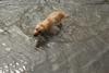 2010-05-22_ntb_8771