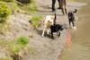 2010-05-22_ntb_8774