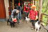 2010-05-24_ntb_9345