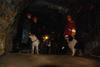 2010-05-24_ntb_9361