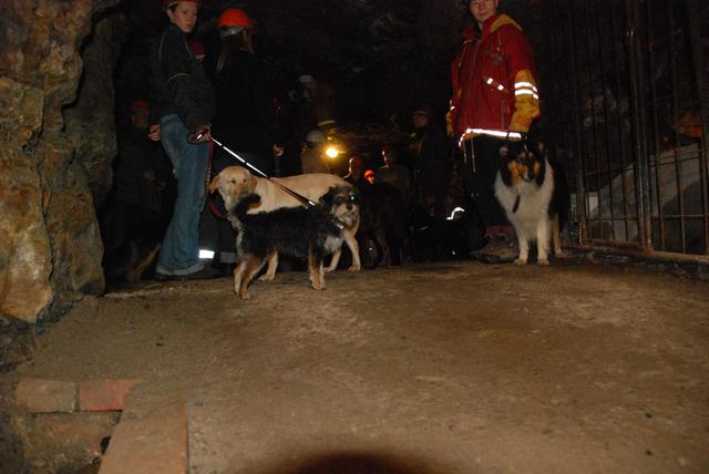 2010-05-24_ntb_9363