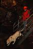 2010-05-24_ntb_9374