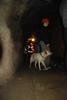 2010-05-24_ntb_9403