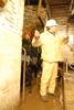 2010-05-24_ntb_9408