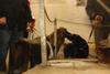 2010-05-24_ntb_9409