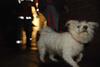 2010-05-24_ntb_9417