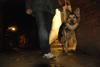 2010-05-24_ntb_9418