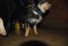 2010-05-24_ntb_9422