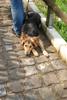 2010-05-24_ntb_9426