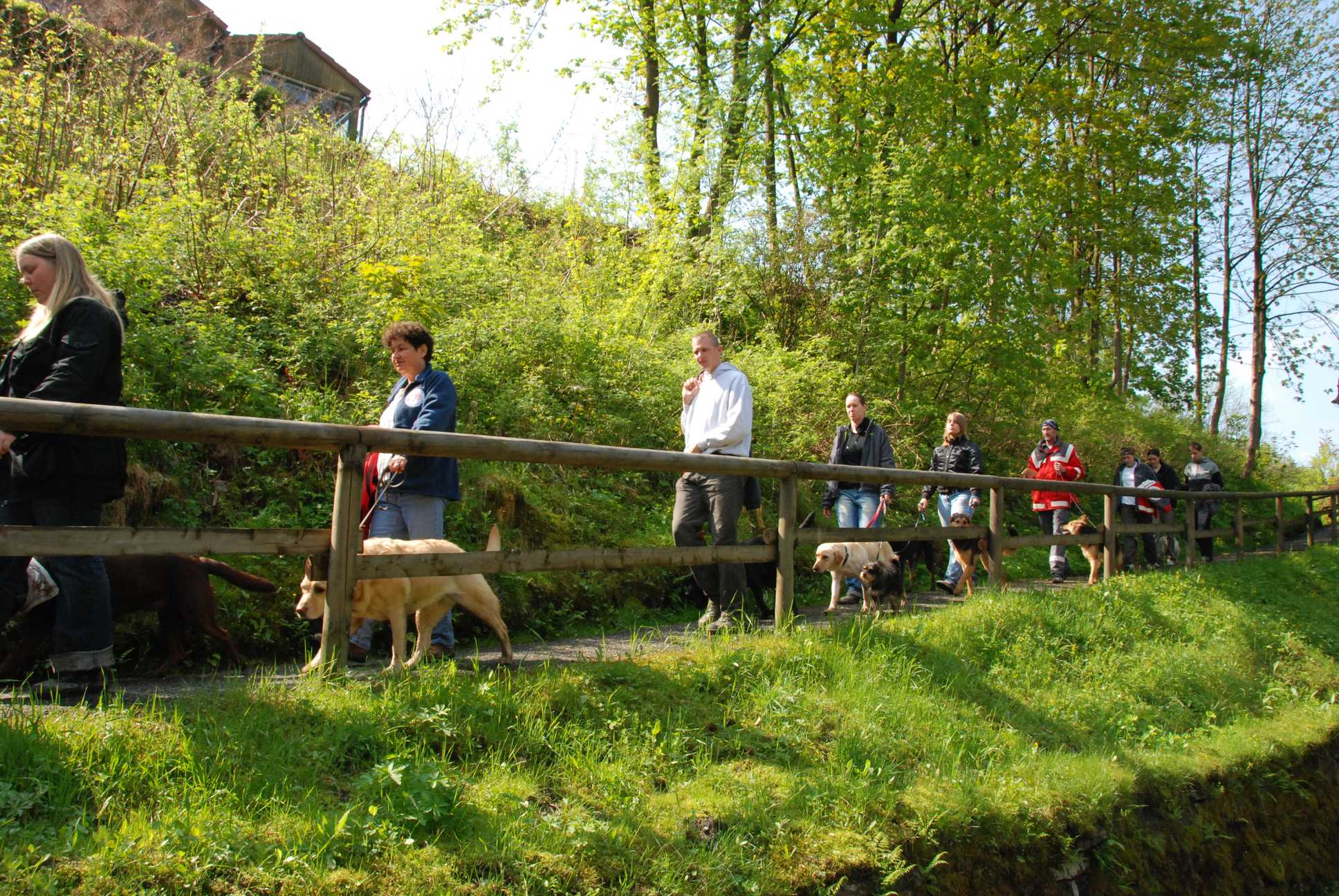 2010-05-24_ntb_9430