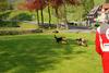 2010-05-24_ntb_9444