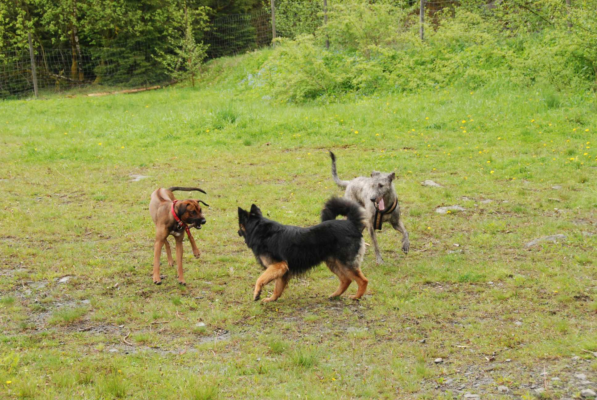 2010-05-30_ntb_0090