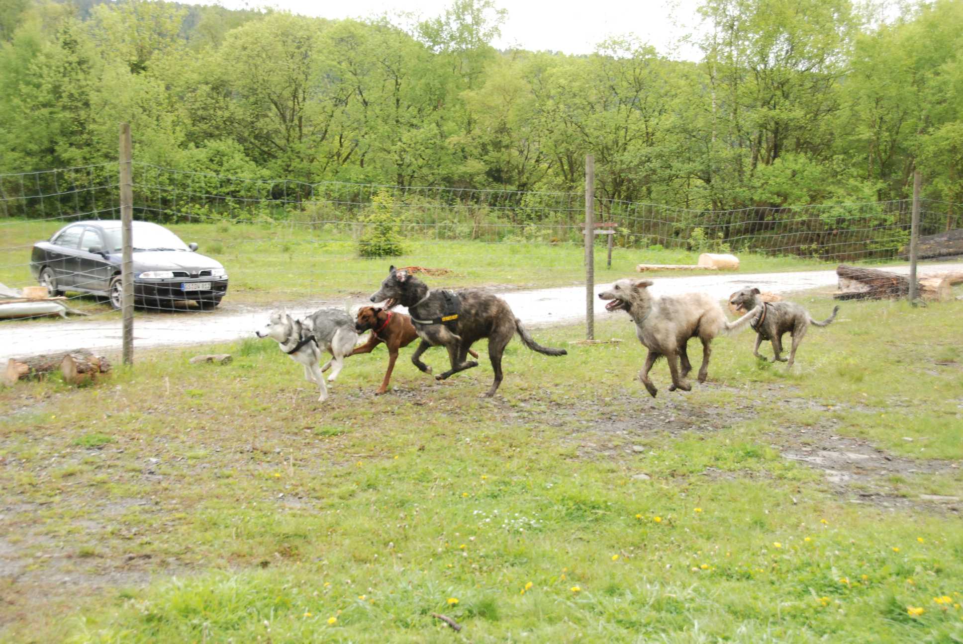 2010-05-30_ntb_0113