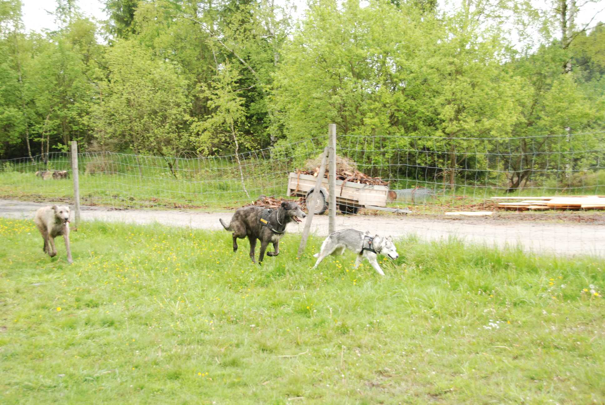 2010-05-30_ntb_0119