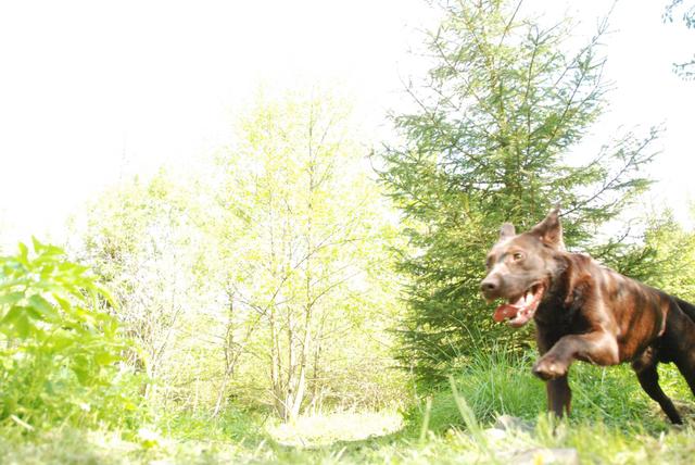 2010-05-29_ntb_9802