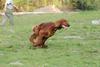 2010-05-29_ntb_9852