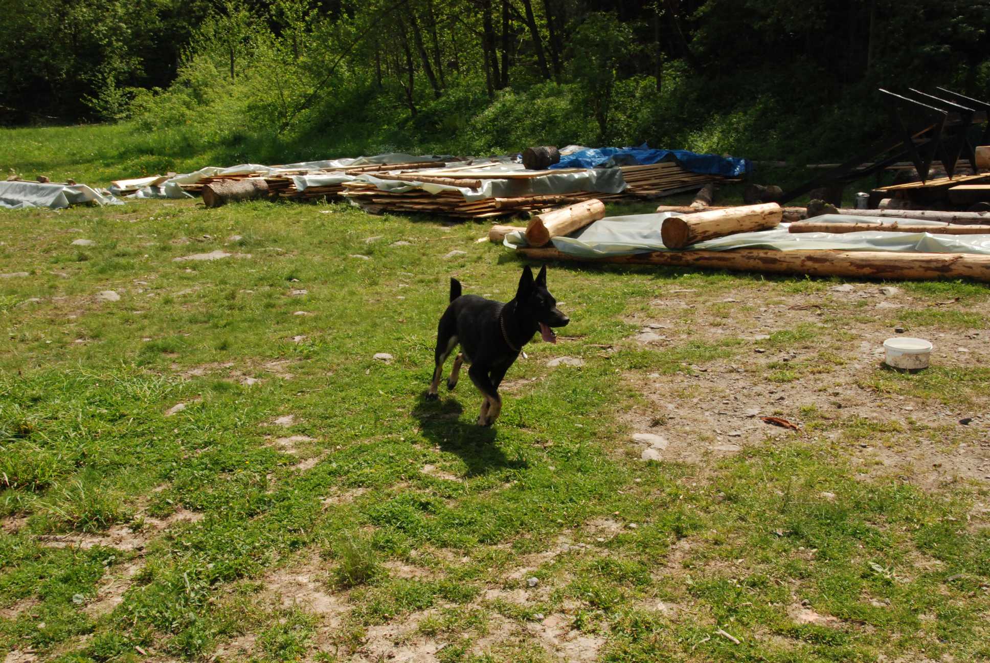 2010-06-04_ntb_0324