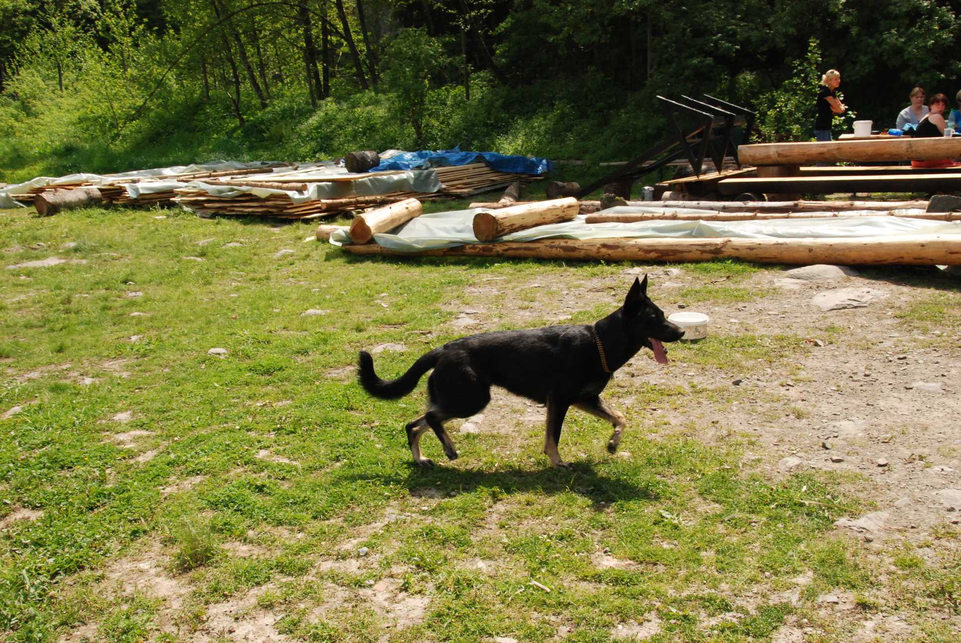 2010-06-04_ntb_0325