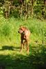 2010-06-04_ntb_0371