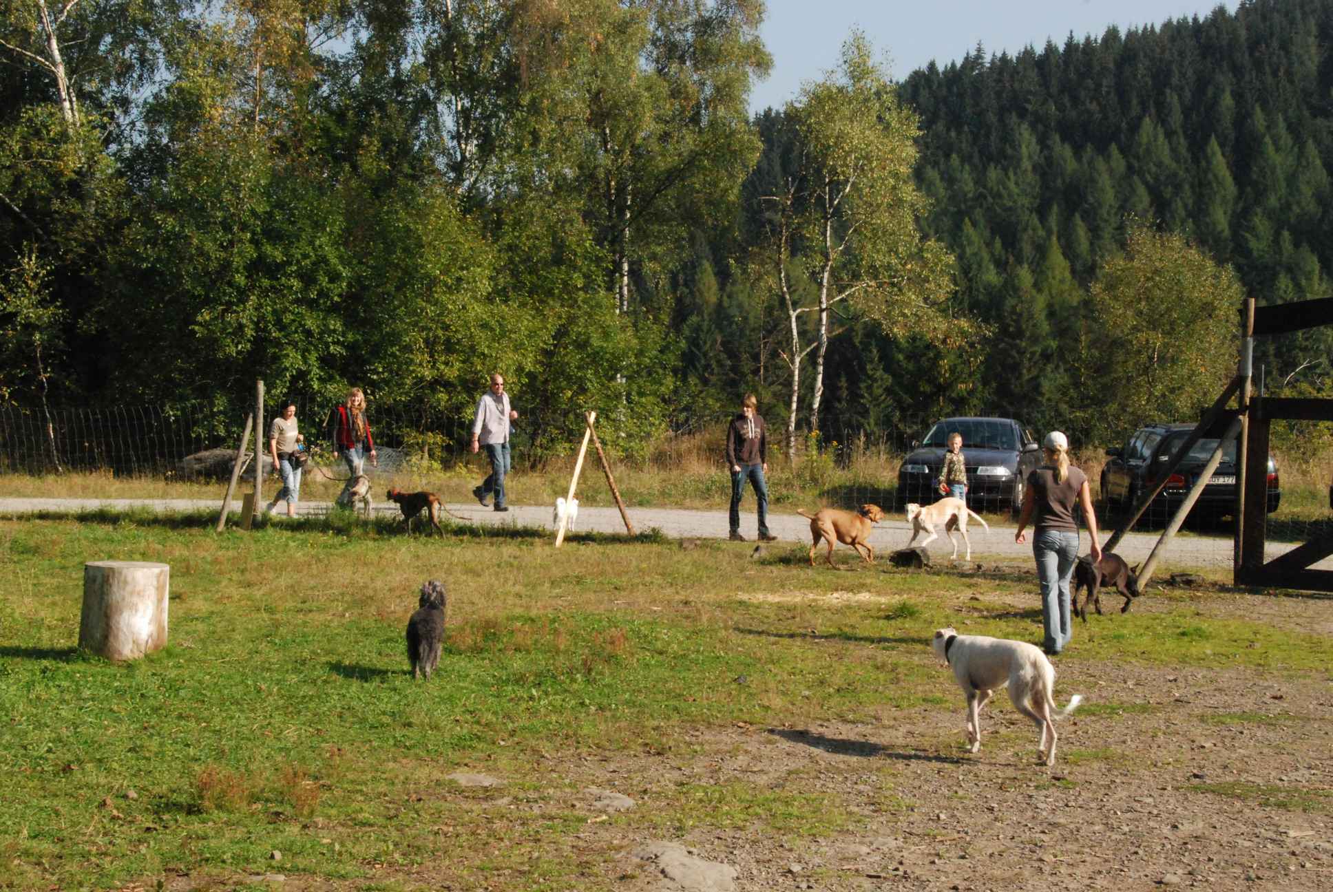 2009-09-20_ntb_8251