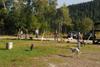 2009-09-20_ntb_8251