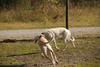 2009-09-20_ntb_8252