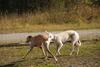 2009-09-20_ntb_8253
