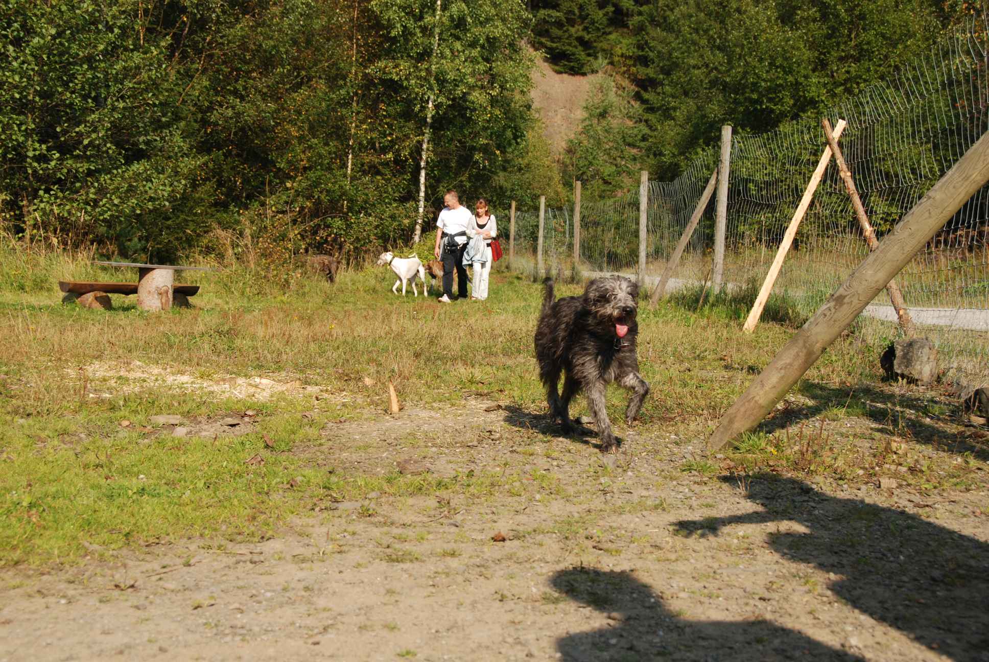 2009-09-20_ntb_8254