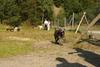 2009-09-20_ntb_8254