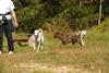 2009-09-20_ntb_8256