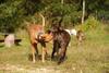 2009-09-20_ntb_8257