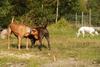 2009-09-20_ntb_8258