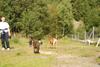 2009-09-20_ntb_8259