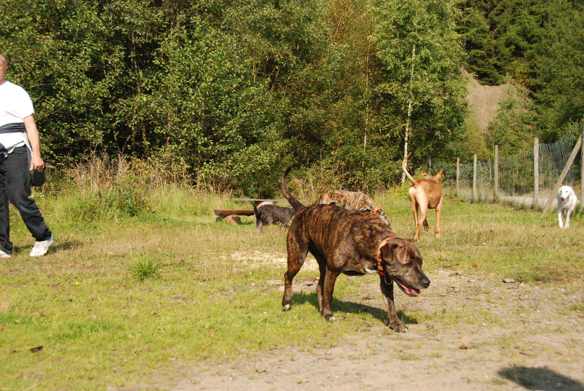 2009-09-20_ntb_8260