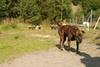 2009-09-20_ntb_8261