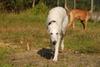 2009-09-20_ntb_8263