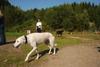 2009-09-20_ntb_8264