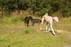 2009-09-20_ntb_8267