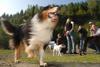 2009-09-20_ntb_8271
