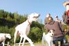 2009-09-20_ntb_8272